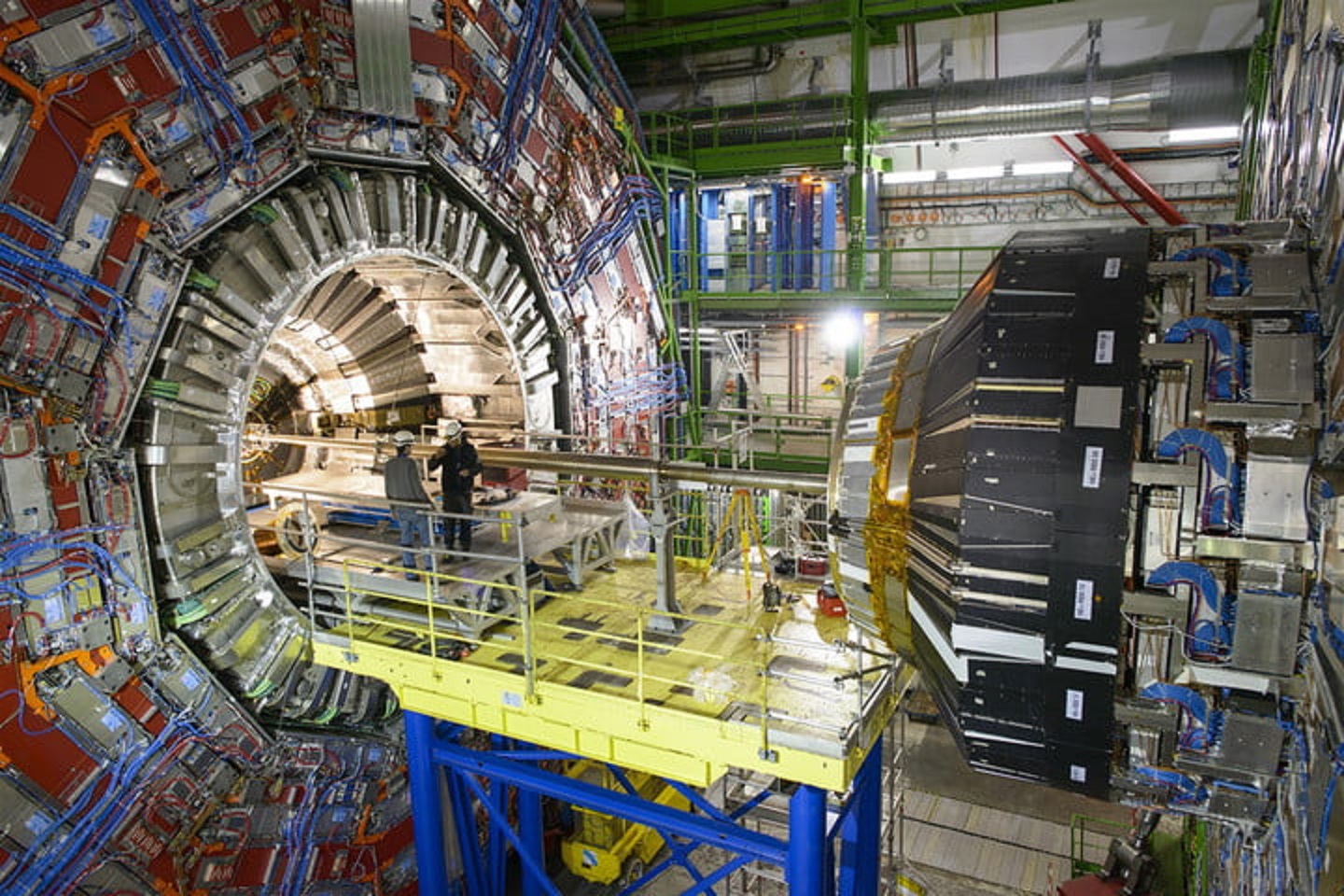 large hadron collider time travel bird