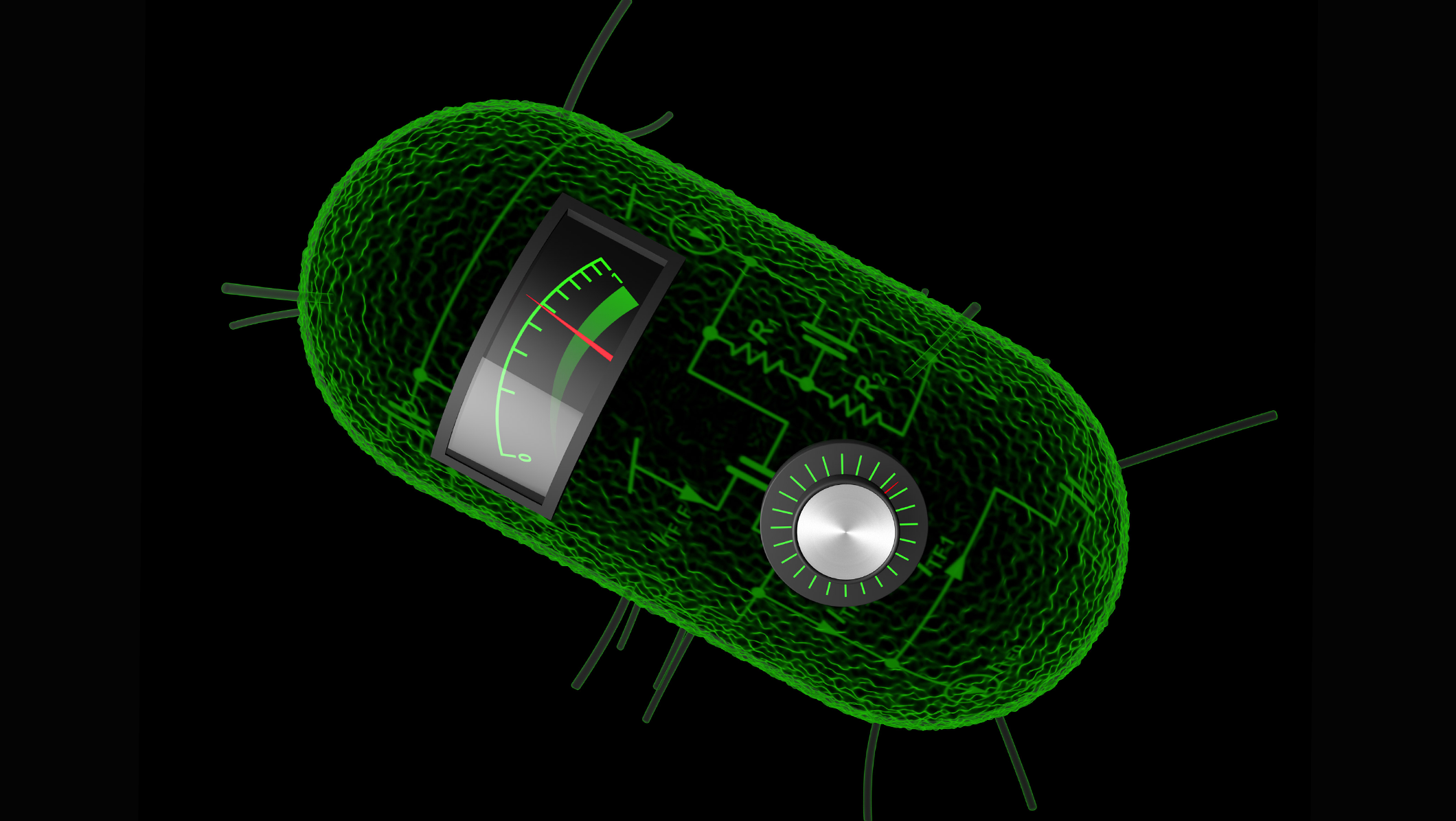 Искусственная клетка 3. Искусственные клетки. Искусственные бактерии. Искусственная жизнь. Искусственно созданные бактерии.